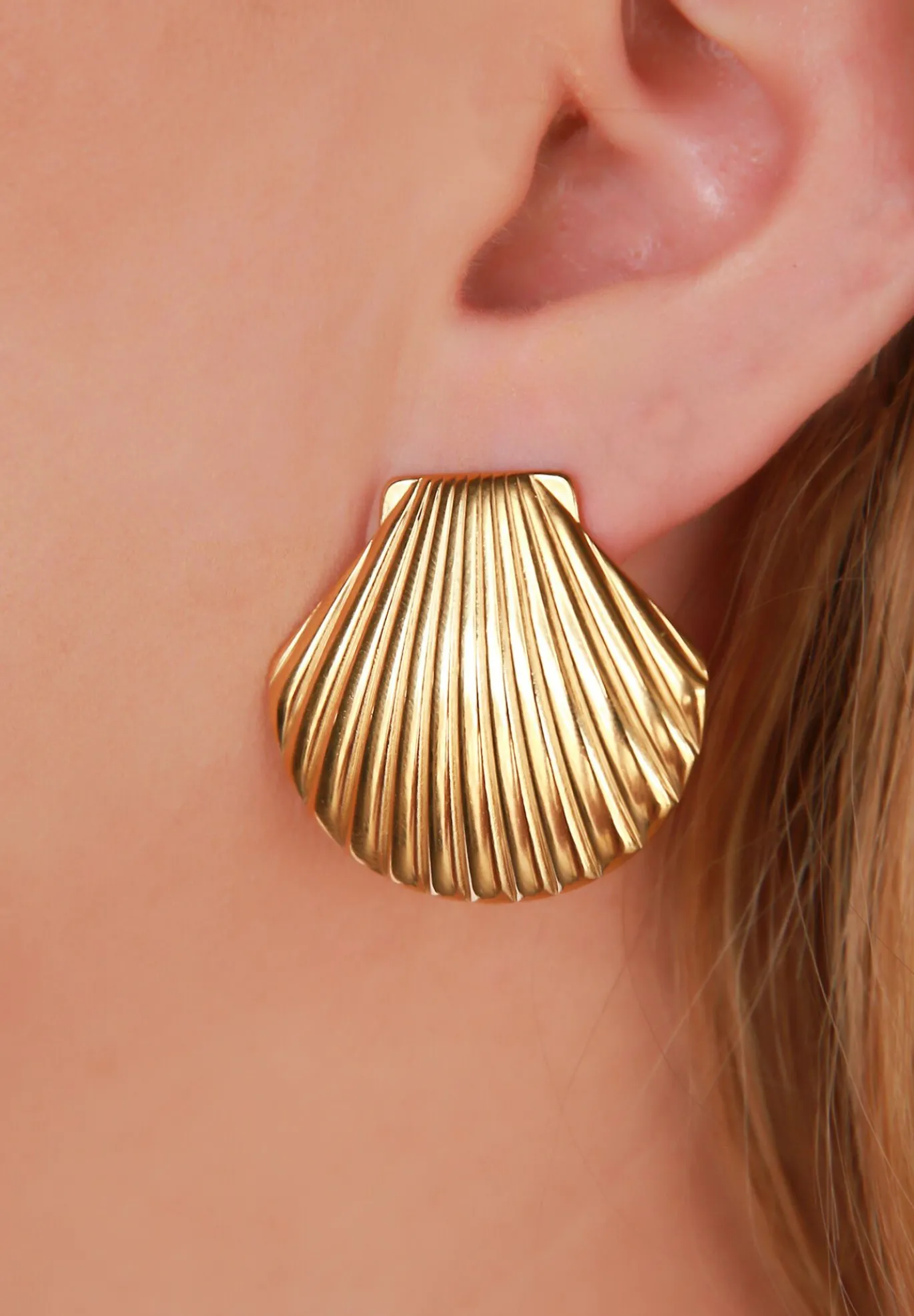 Ariel Seashell Stud Earrings