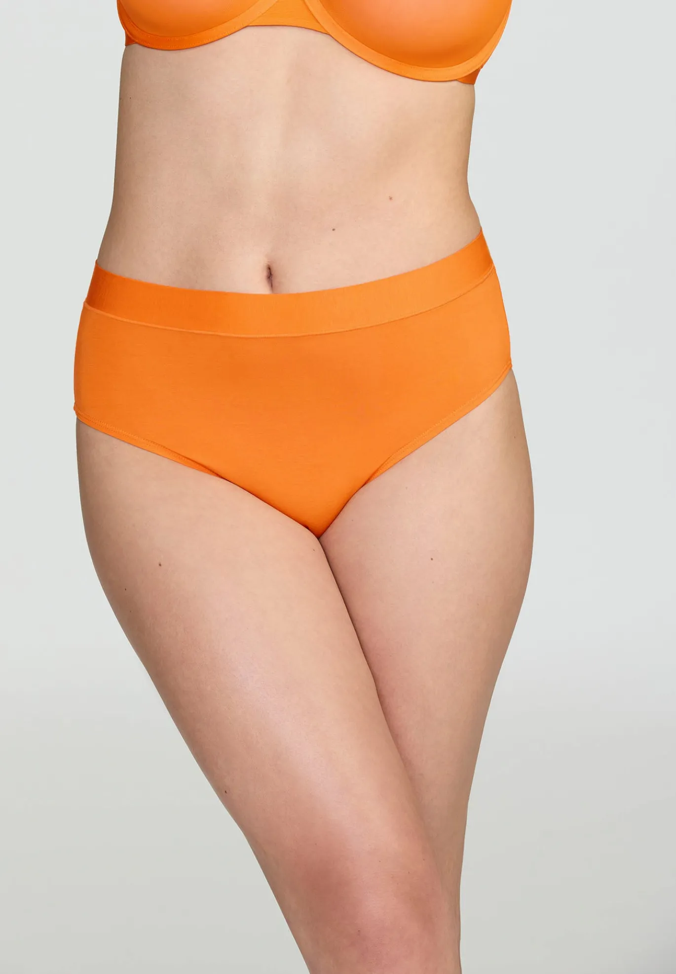 The Highwaist - Modal